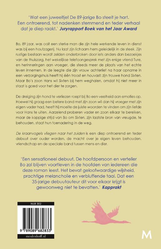 Achterkant van De kraanvogels vliegen naar het zuiden