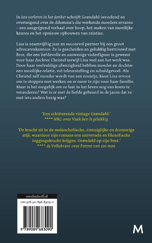 Achterkant van Iets verloren in het donker