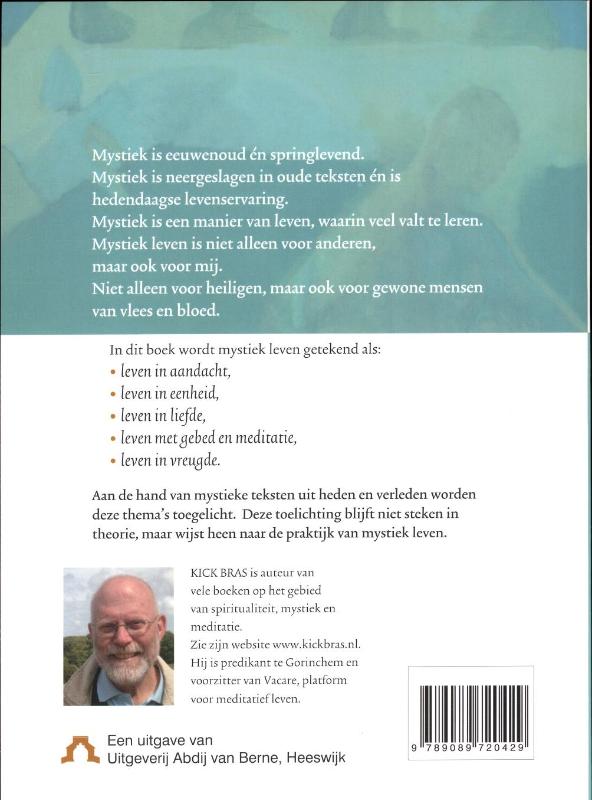 Achterkant van Mystiek leven