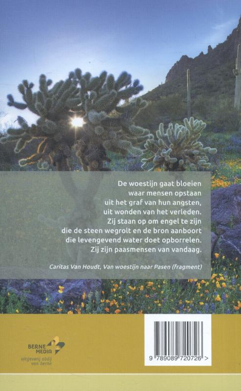 Achterkant van 2016