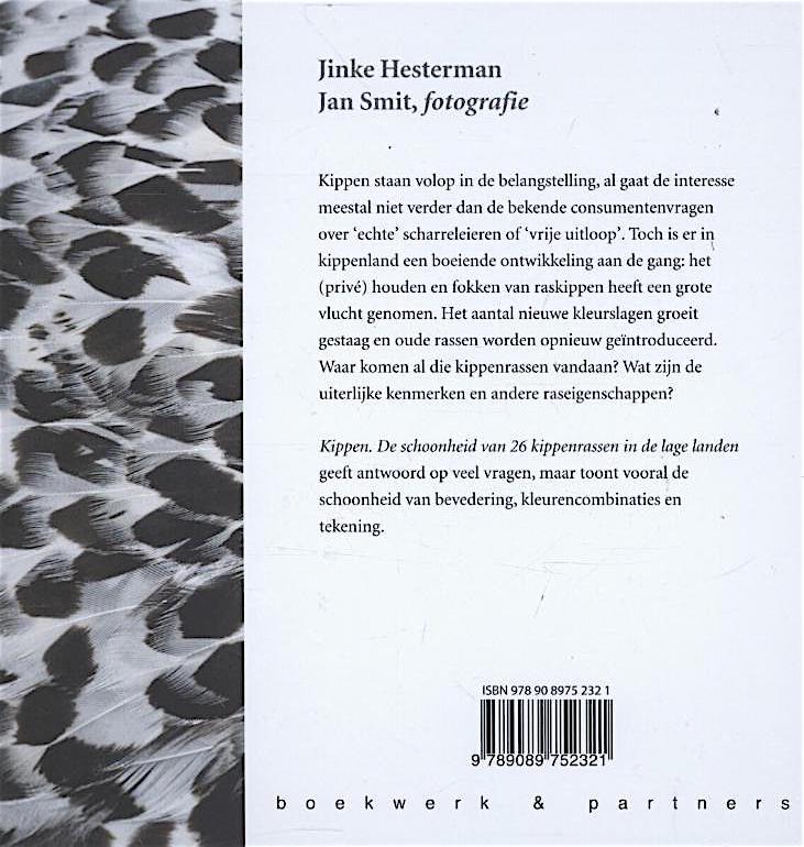 Achterkant van Kippen