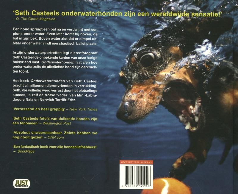 Achterkant van Onderwaterhonden