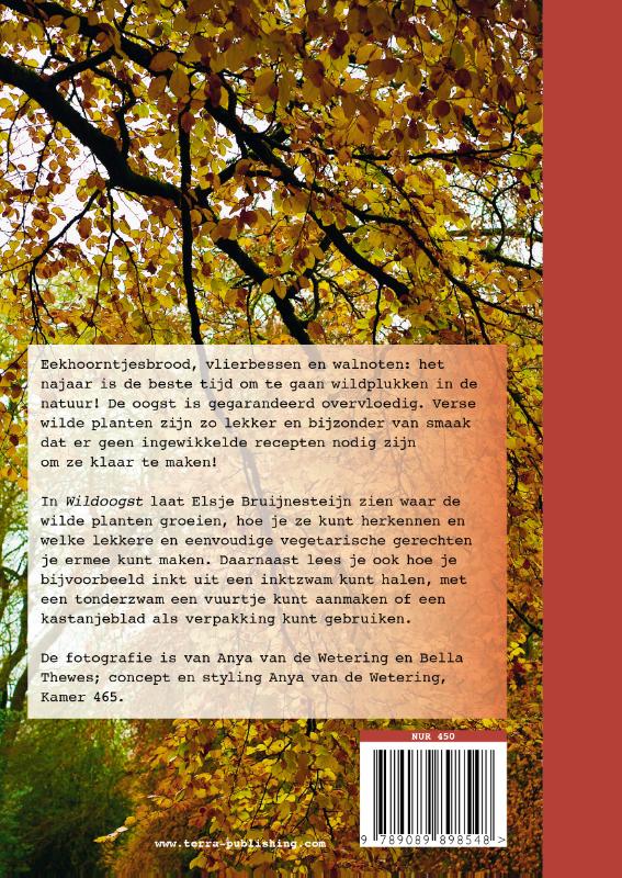 Achterkant van Wildoogst