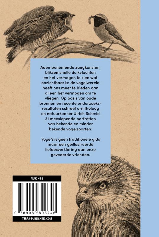 Achterkant van Vogels