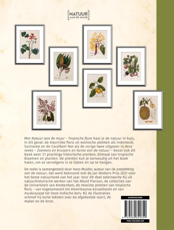 Achterkant van Natuur aan de muur - Tropische Flora