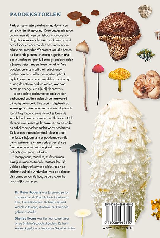Achterkant van Paddenstoelen