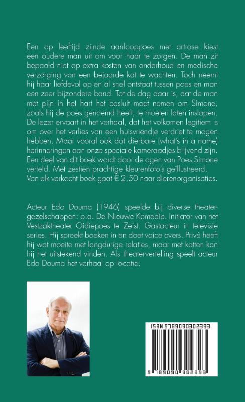 Achterkant van De poes met witte vleugels en de man