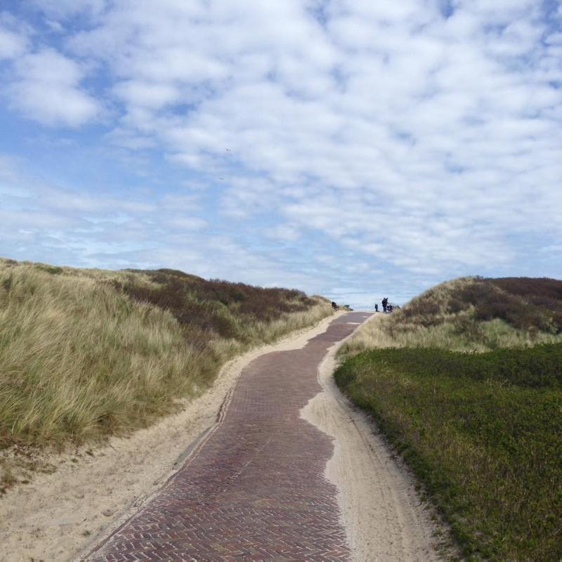 Achterkant van In Gedichten Verzonken