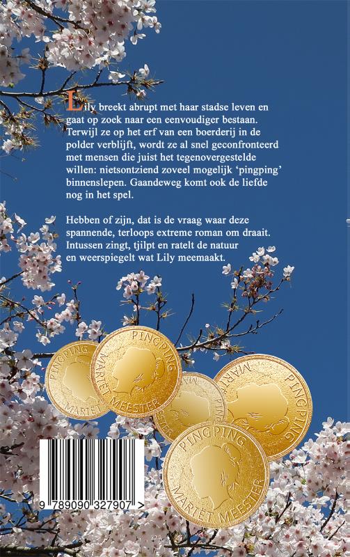 Achterkant van Pingping