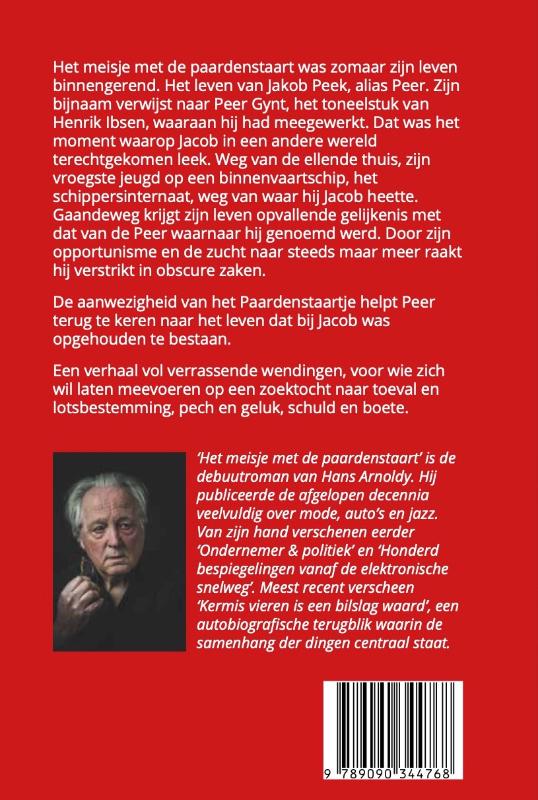 Achterkant van Het meisje met de paardenstaart
