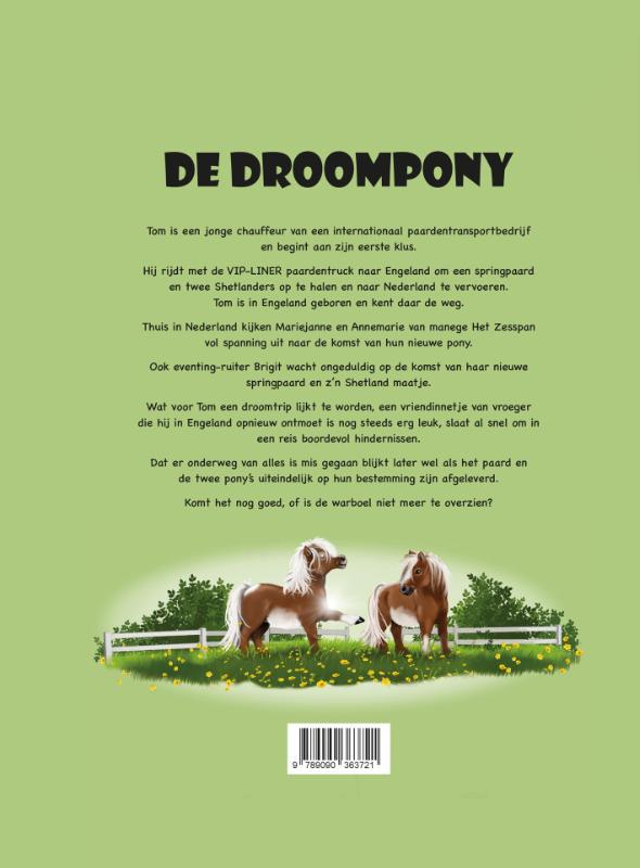 Achterkant van De Droompony