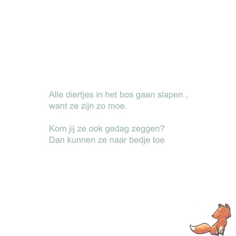 Achterkant van Dag alle diertjes in het bos