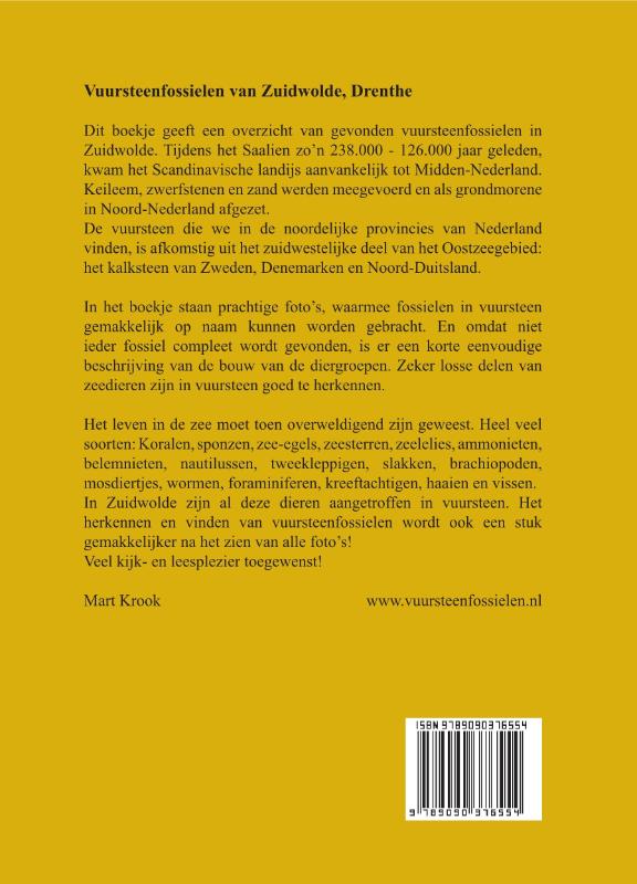Achterkant van Vuursteenfossielen van Zuidwolde, Drenthe