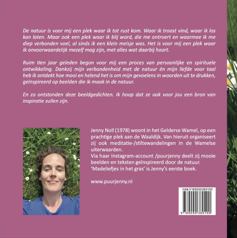 Achterkant van Madeliefjes in het gras