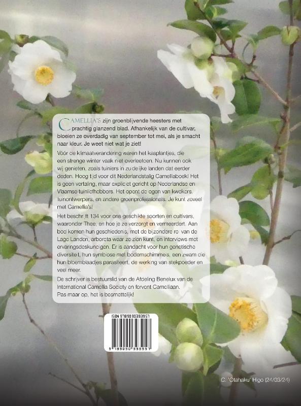 Achterkant van Camellia's voor de Lage Landen