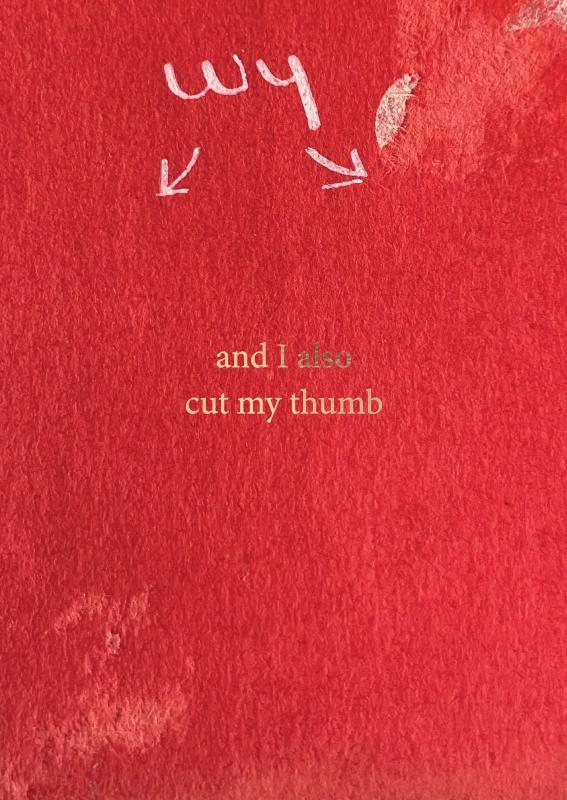 Achterkant van Everything here is fine only I fell out of a tree the first hour I was here and I also cut my thumb