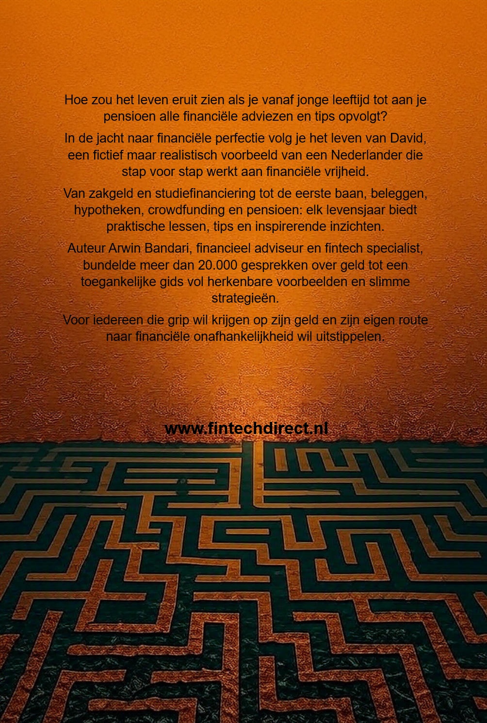 Achterkant van De jacht naar financiële perfectie