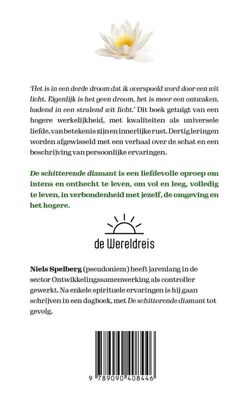Achterkant van De schitterende diamant