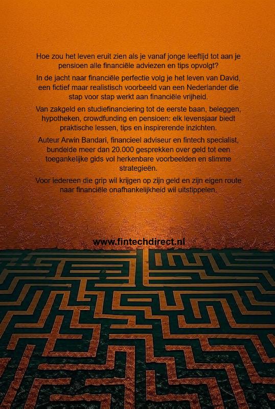 Achterkant van De jacht naar financiële perfectie