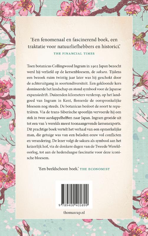 Achterkant van Sakura