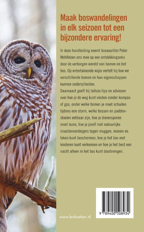 Achterkant van Het bos
