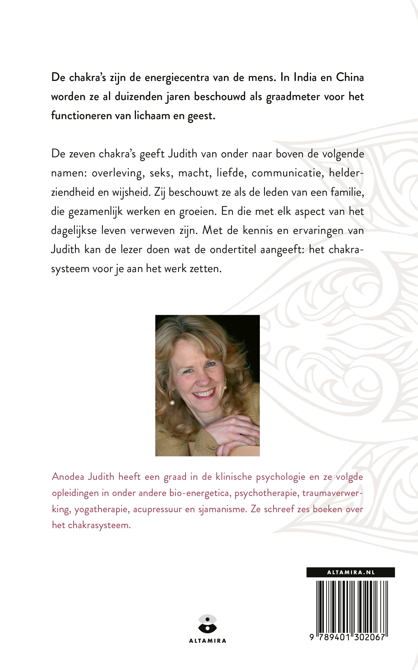 Achterkant van Werkboek chakra's