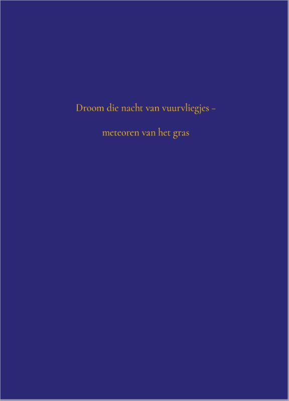 Achterkant van Vuurvliegjes