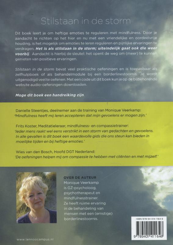 Achterkant van Stilstaan in de storm
