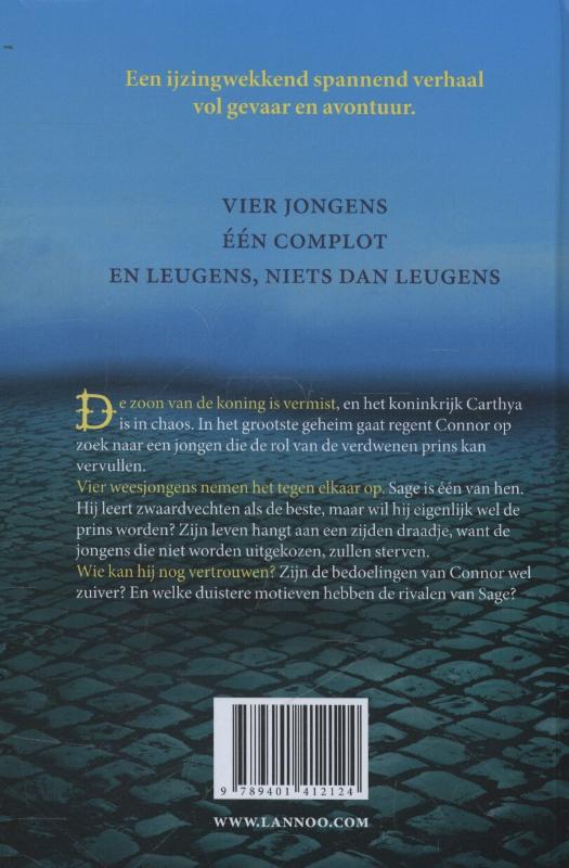 Achterkant van De verdwenen prins