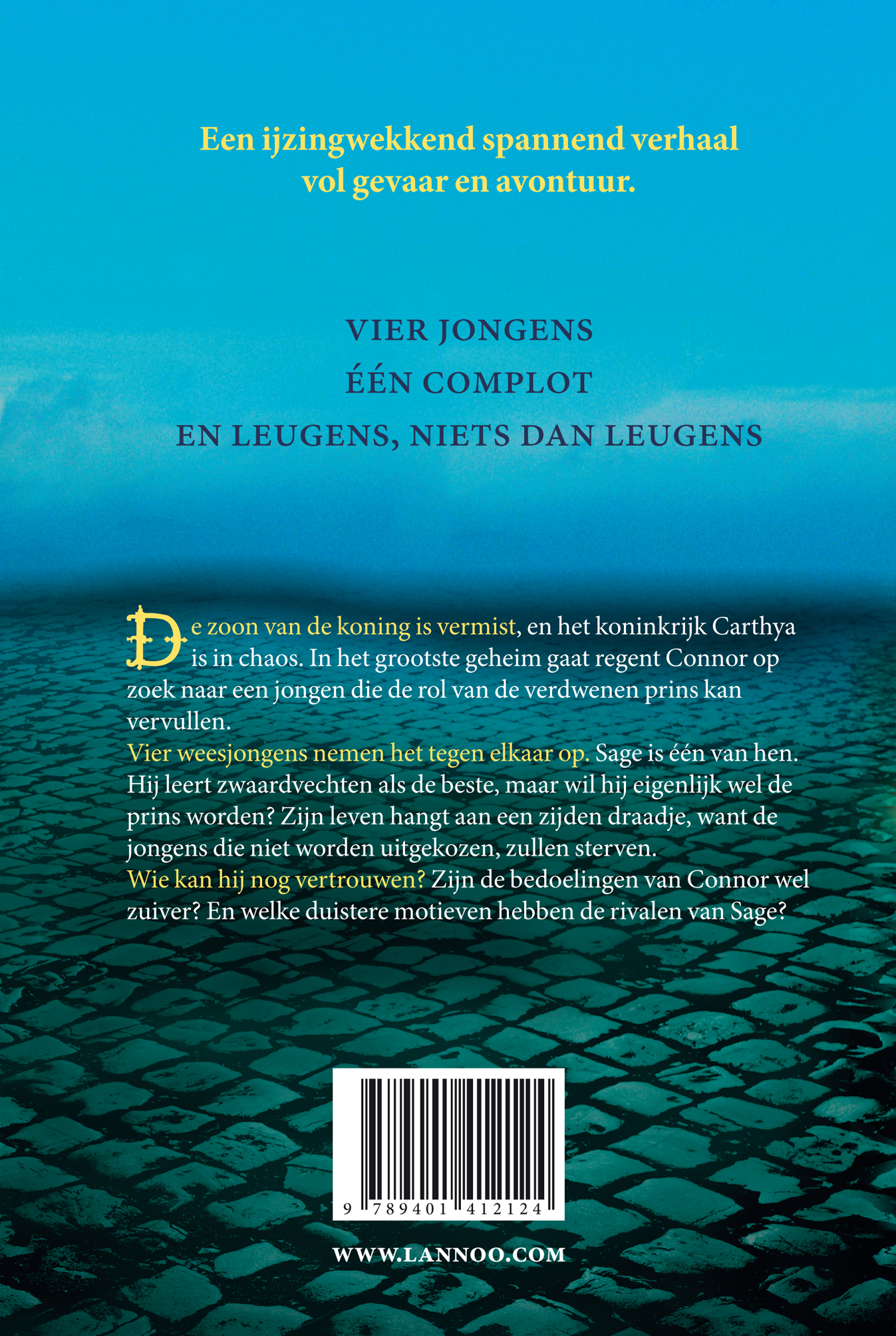 Achterkant van De verdwenen prins
