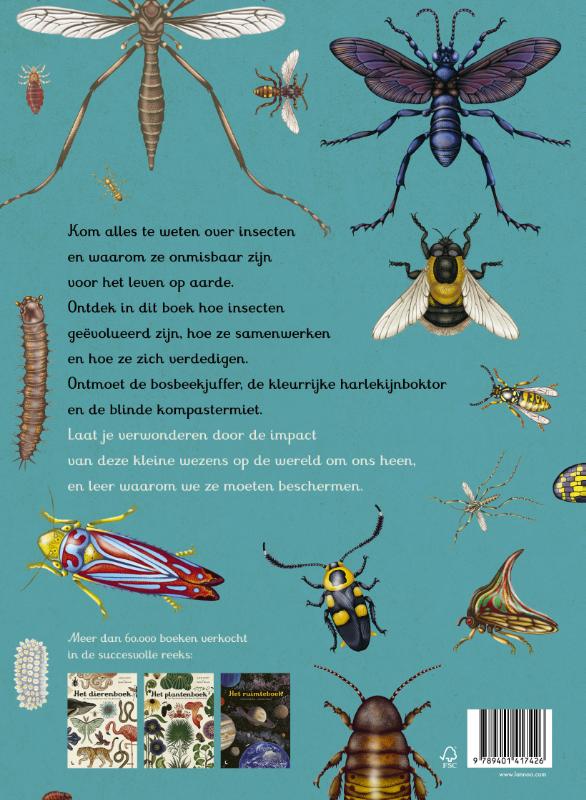 Achterkant van Insecten