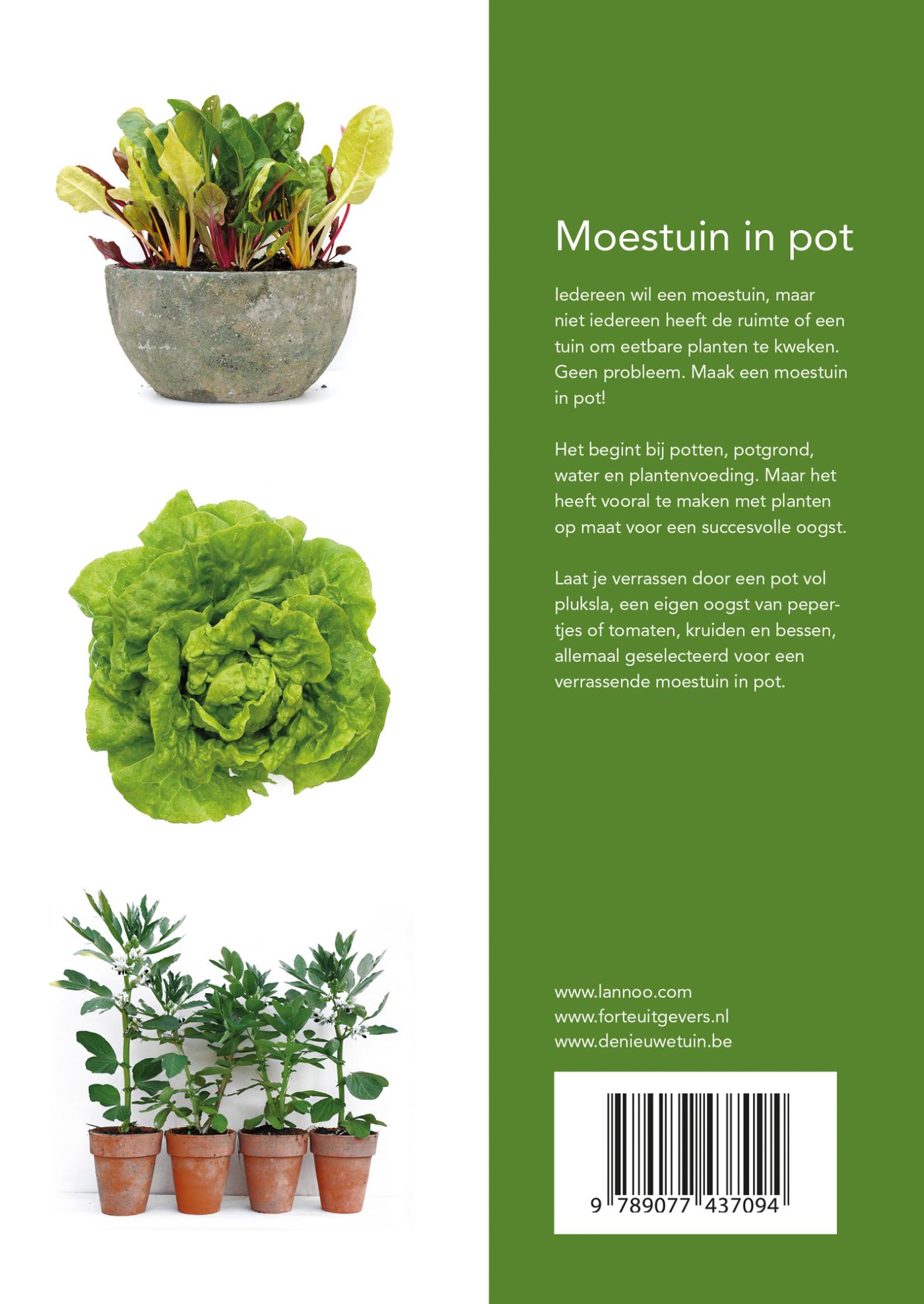 Achterkant van Moestuin in pot