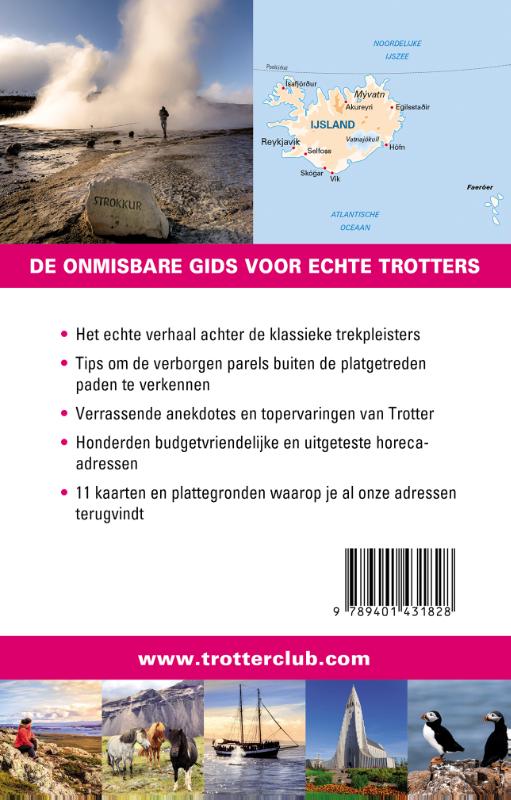 Achterkant van IJsland