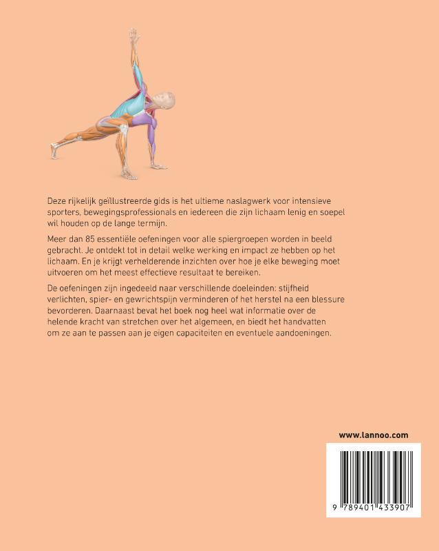 Achterkant van Anatomie van het stretchen