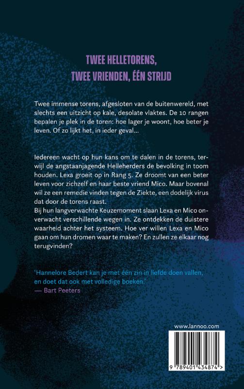 Achterkant van Tweelingbloed
