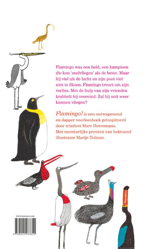 Achterkant van Flamingo!
