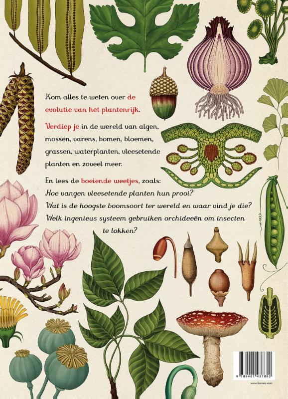 Achterkant van Het plantenboek