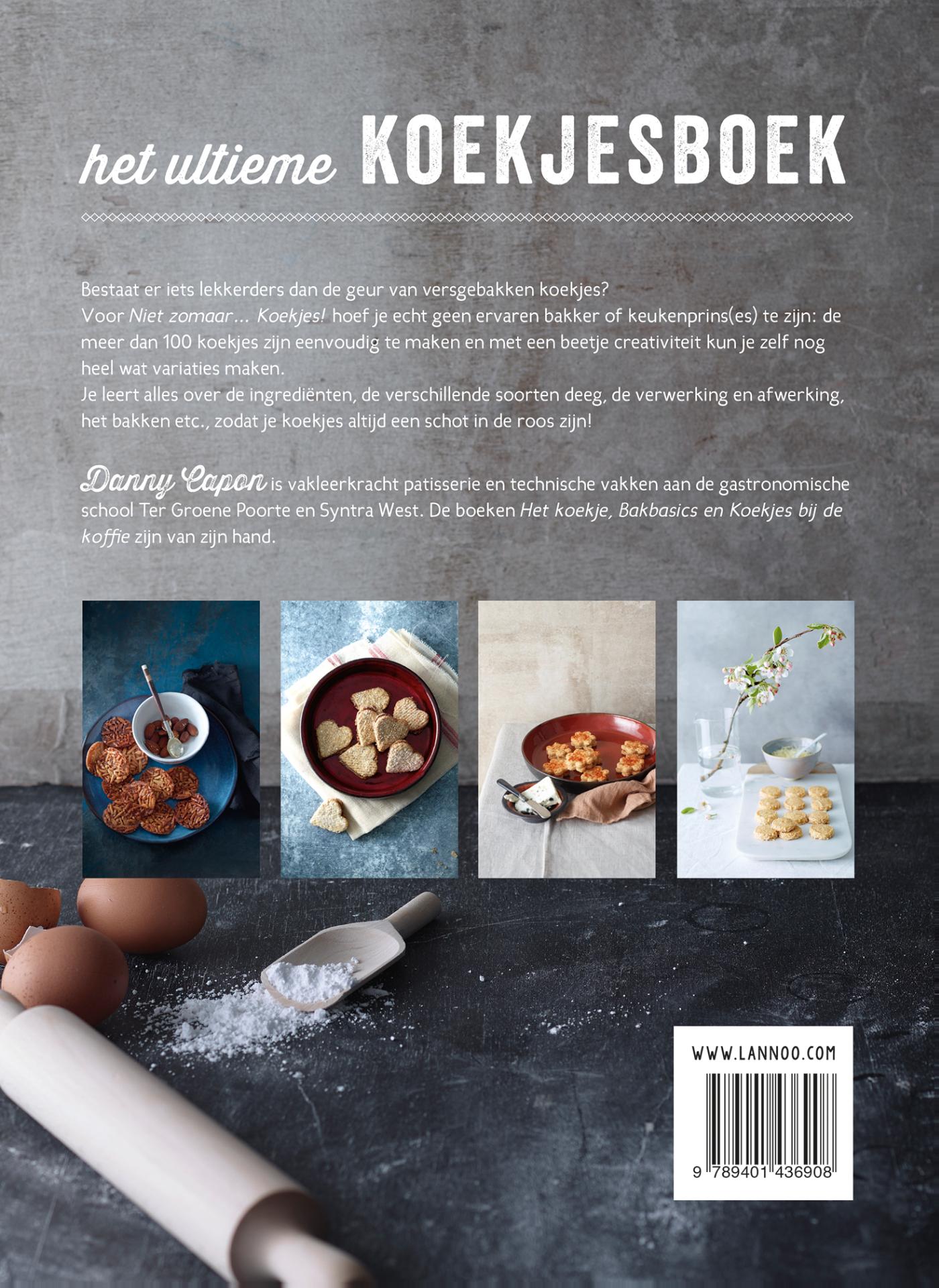 Achterkant van Niet zomaar... koekjes! (E-Boek)