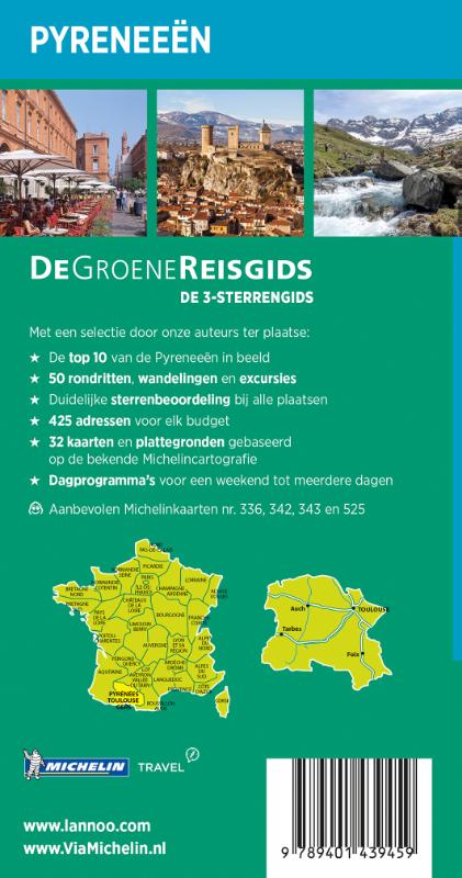 Achterkant van Pyreneeën