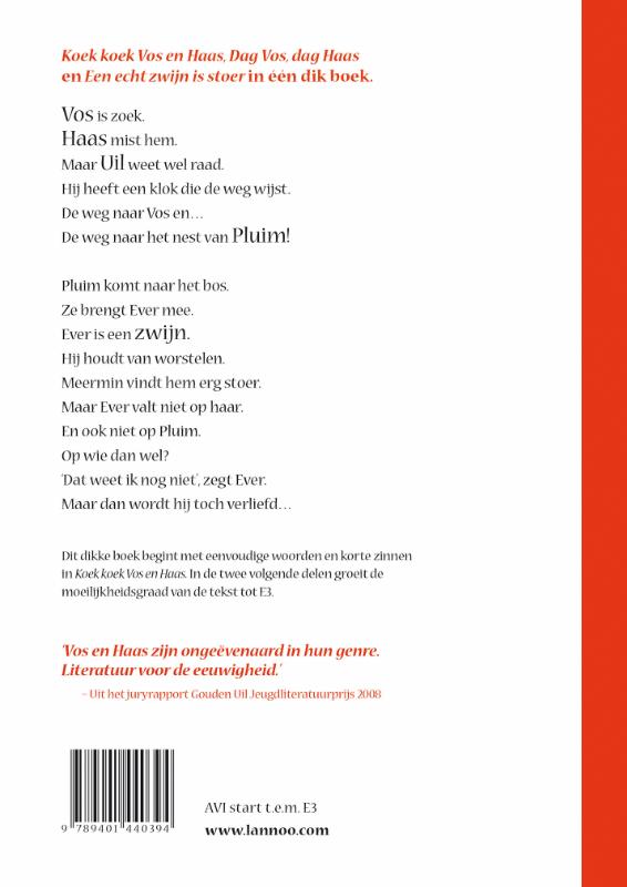 Achterkant van Het tweede dikke boek