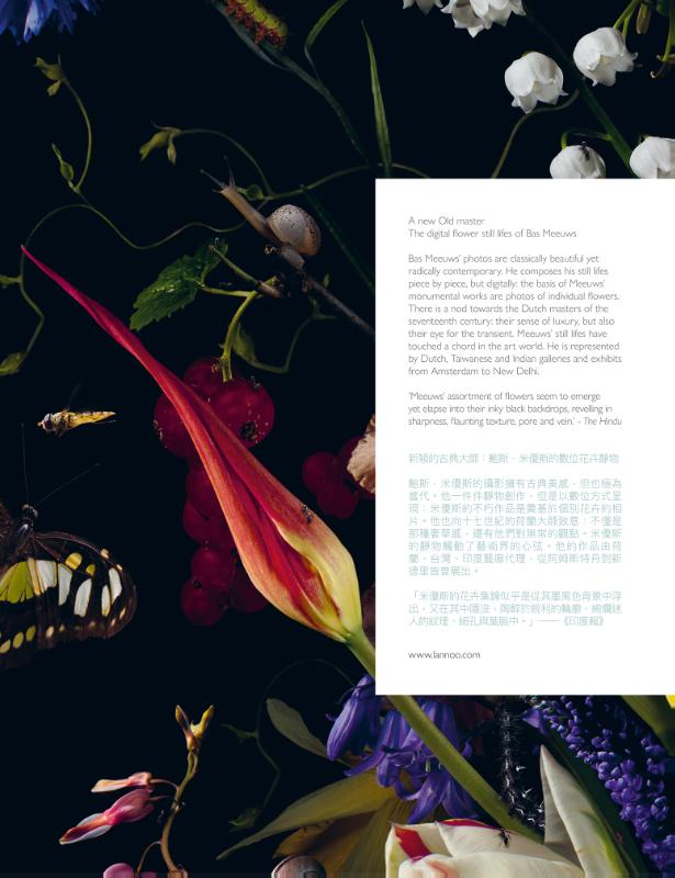Achterkant van Bas Meeuws Flower Pieces