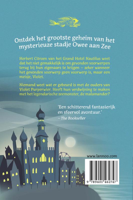 Achterkant van Het geheim van de Malamander