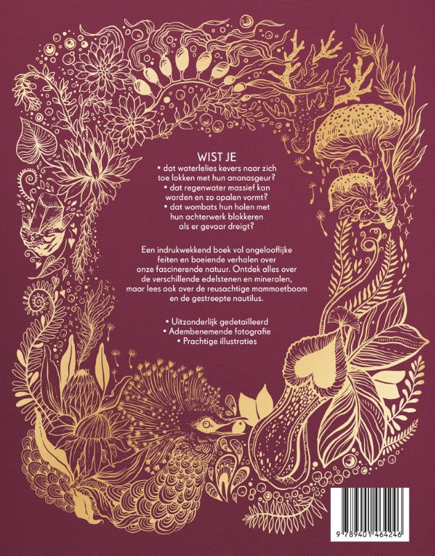 Achterkant van Het dikke boek van onze bijzondere natuur