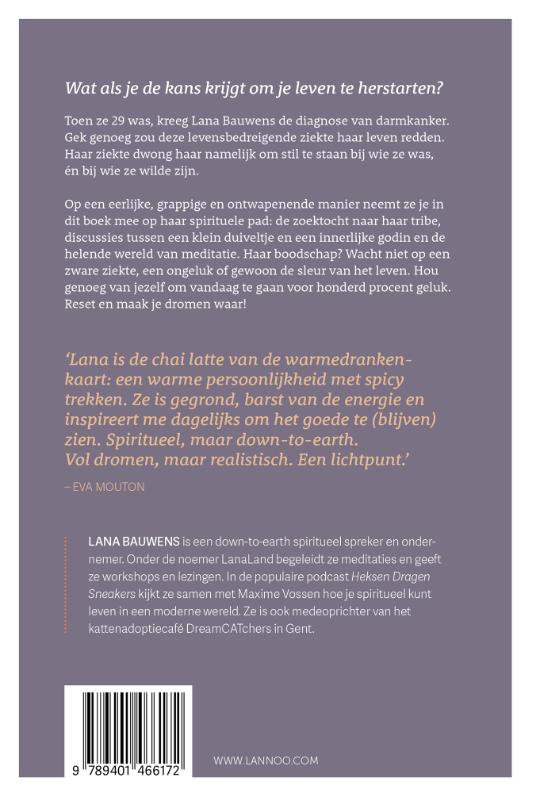 Achterkant van Reset