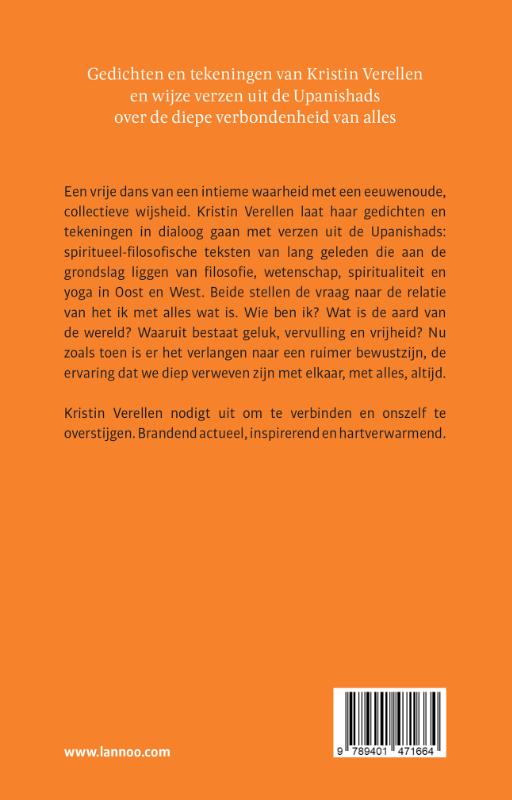 Achterkant van Meer dan ik