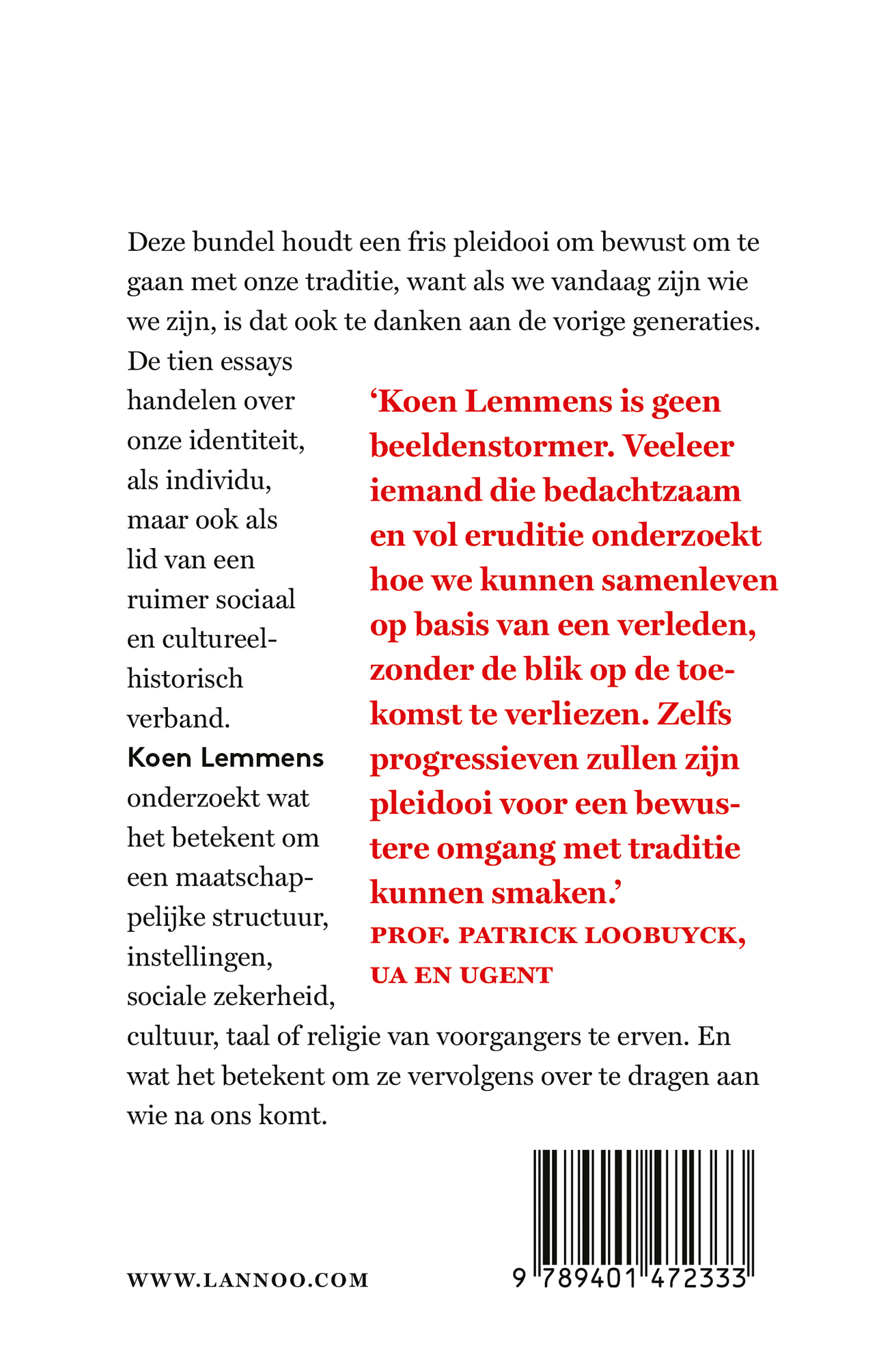 Achterkant van De dwaling van de beeldenstormer