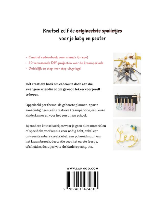Achterkant van De leukste DIY's voor mama's (in spe)