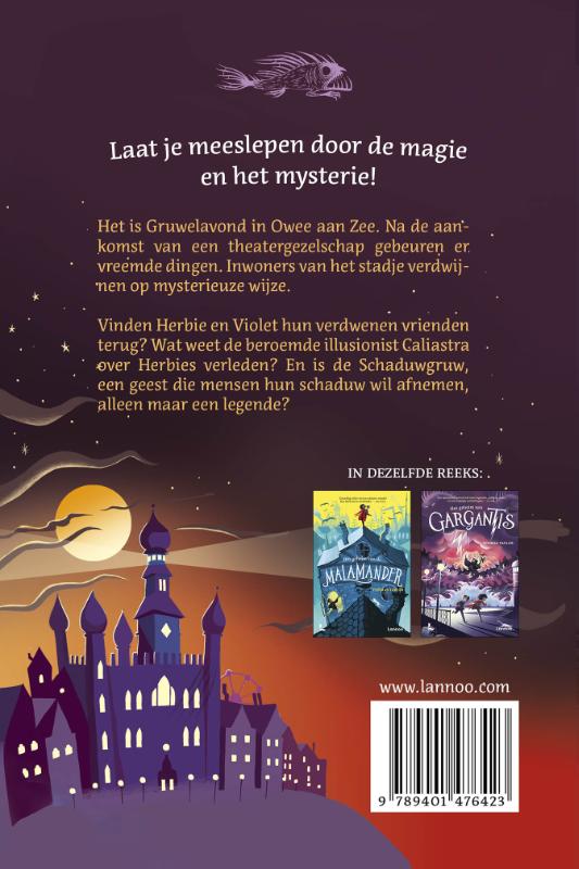 Achterkant van Het geheim van de Schaduwgruw