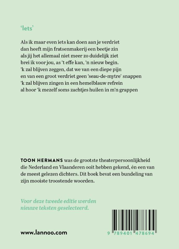 Achterkant van In de stilte zal ik je opnieuw ontmoeten