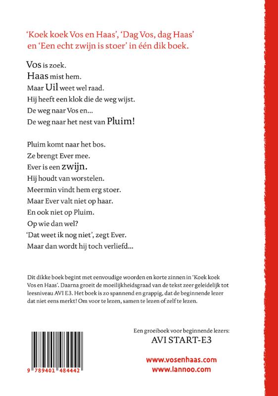 Achterkant van Het tweede dikke boek